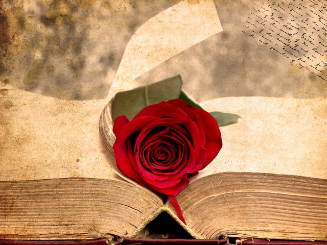 Creative_Wallpaper_____The_rose_on_the_ancient_book_083245_.jpg