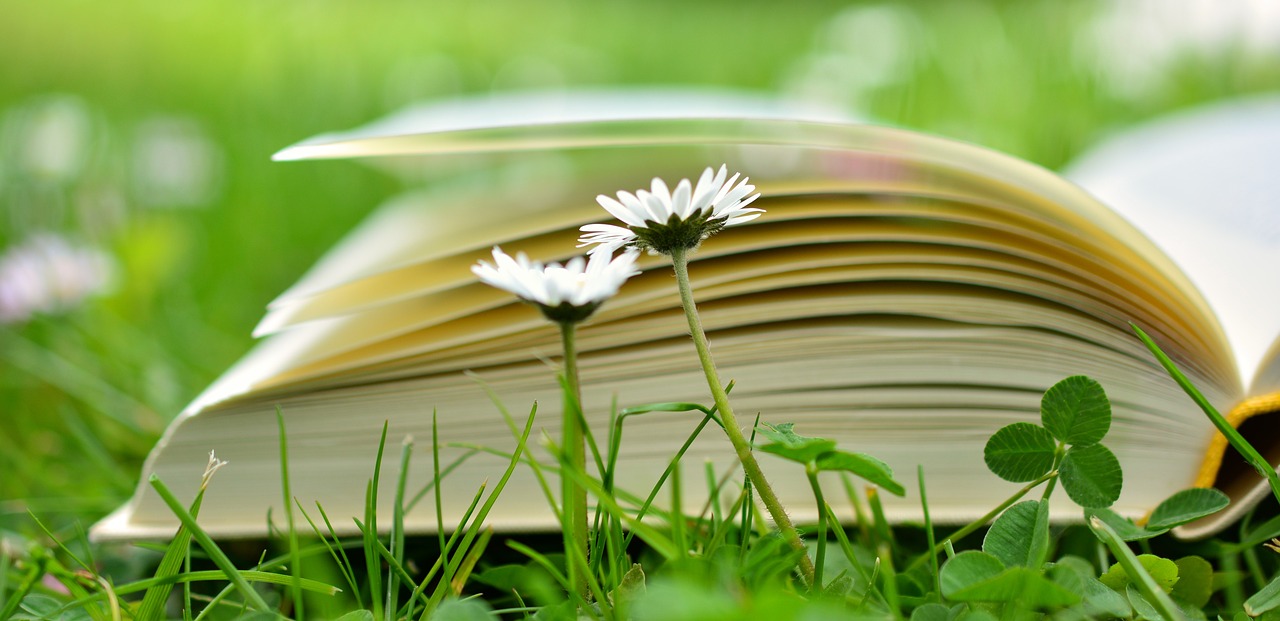 a book 2304389 1280 1