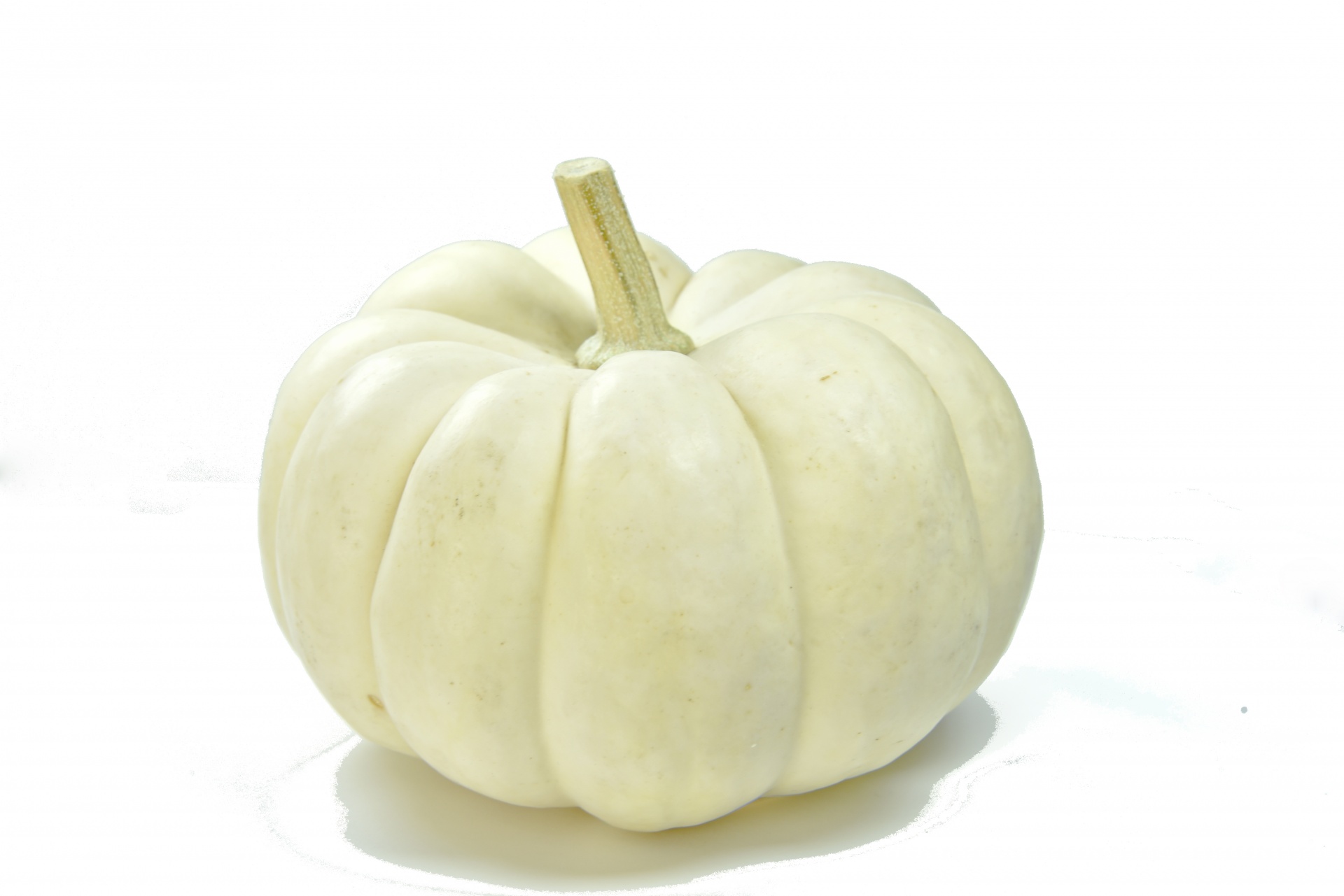 pumpkin on white 11